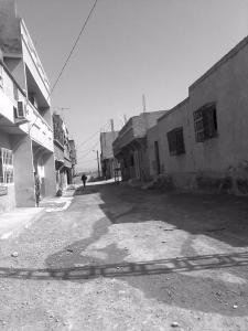 شوارع قرية  أولاد قدور