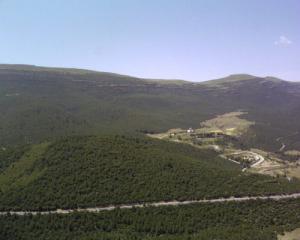 Les Forêts entourant Hammam Salehine