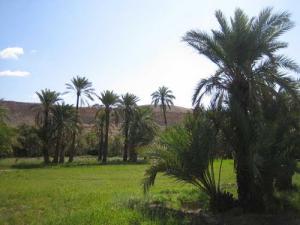 La Beauté Naturelle d'El Oualdja