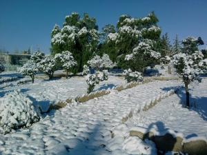 La neige sur Khenchla