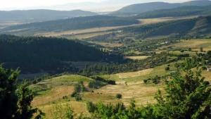 Paysage de Ain-Mimounne