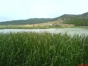 Barrage de Foum El-Gueis