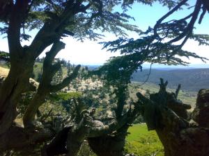 Paysage de Khenchela