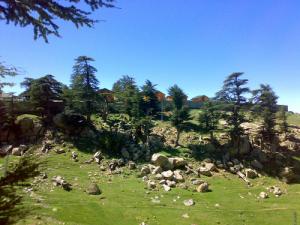 La Verdure de Khenchela