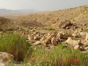 Douar à 15 km de Khenchla