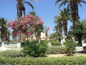 Jardin Public de la commune de Cherchar