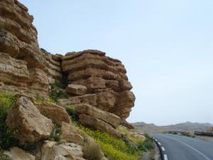 Sur la Route de Djellal