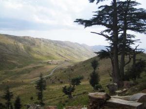 Verdure sur les Montagnes de Chelia