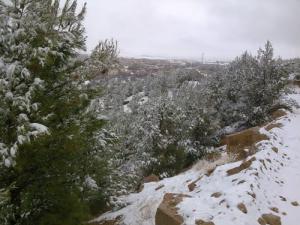 La Foret de Babar sous la neige