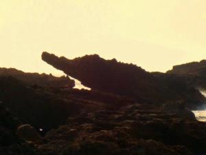 صخرة تشبه  التمساح  بشاطئ  عوينات