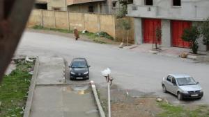 Cité des 418 logt à Souk Ahras