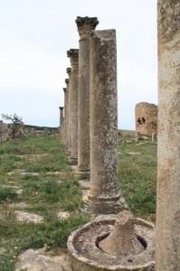 Théâtre Site archéologique de MADAURES   (actuel MDAOUROUCHE) SOUK-AHRASS