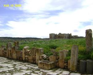 Les Ruine de Madaurus