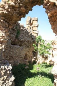 Cartier d?habitation Site arghéologique de KHEMISSA SOUK-AHRAS