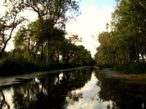 منظر من بحيرة  طونڨة  ببلدية  أم طبول