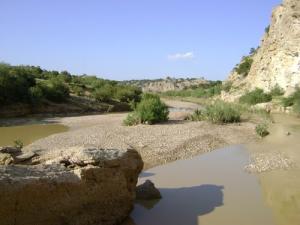 Paysage de Souk Ahras