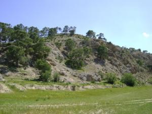 Verdure de Souk Ahras