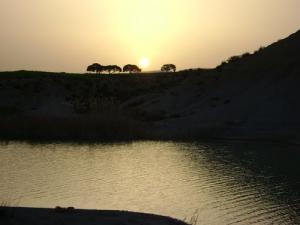 Un Oued de Souk Ahras