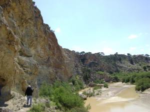 Paysage de Souk Ahras