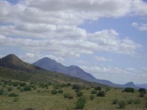 Les Vertes Montagnes de Souk Ahras