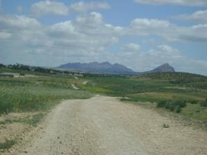 Sentier traversant les paysages de Souk Ahras