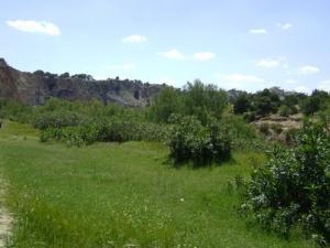 La Verdure de Souk Ahras au Printemps