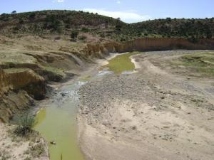 Un lit de rivière desséché aux alentours de Souk Ahras