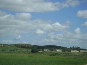 Paysage de Souk Ahras