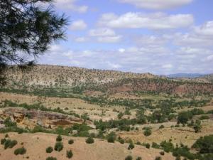 Paysage de Souk Ahras