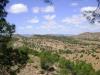 Les Montagnes de Souk Ahras