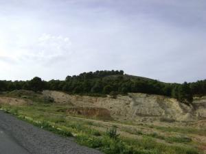 Autoroute aux abords de la forêt