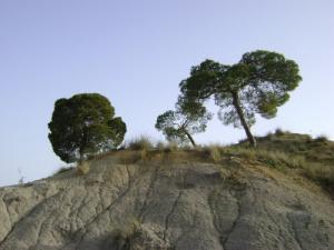 Paysage des Montagnes de Souk Ahras