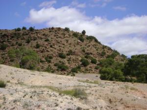 Une Montagne de Souk Ahras