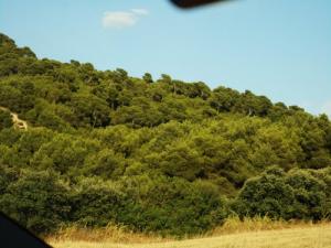 Paysage de Zaarouria