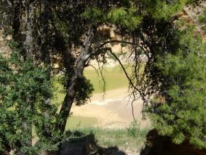 Aux abords de Souk Ahras