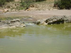 Un Oued de Souk Ahras