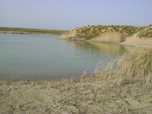 Rive du barrage de Souk Ahras