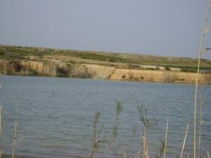 Barrage de Souk Ahras