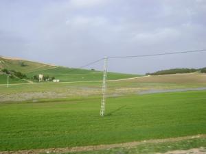 Champs Agricoles à Taoura