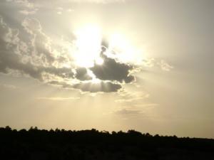 Ciel Nuageux sur la Forêt de Souk Ahras