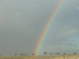 Arc en Ciel sur la Campgne de Souk Ahras