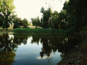 Paysage de Souk Ahras