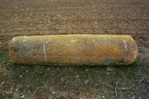 Une Colonne Romaine de Souk Ahras