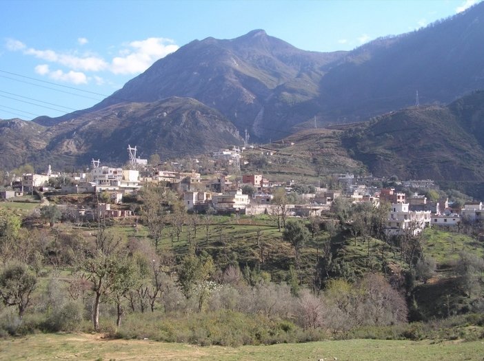 غابات منطقة 