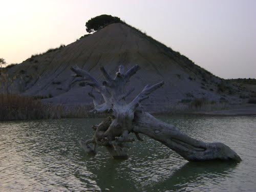 Un Oued de Souk Ahras