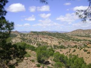 Les Montagnes de Souk Ahras