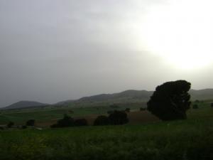Paysage de Taoura
