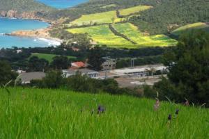 Doumia  le printemps