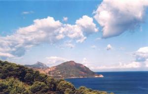 La Côte de Doumia à Tipaza