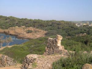 Ruines Romaines de Tipaza